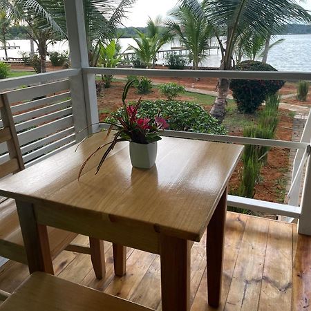 Dolphin Blue Paradise Bocas Town Luaran gambar