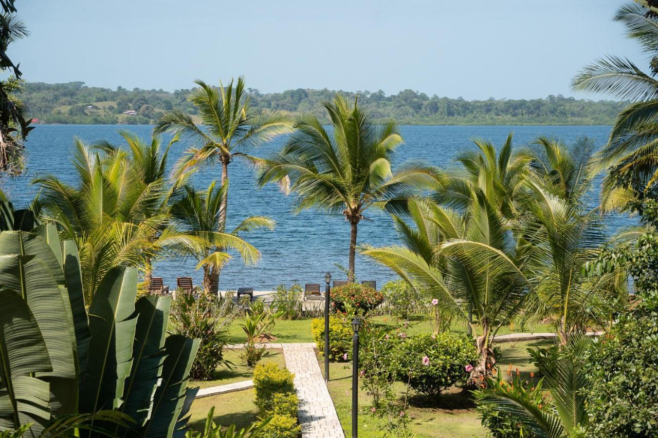 Dolphin Blue Paradise Bocas Town Luaran gambar