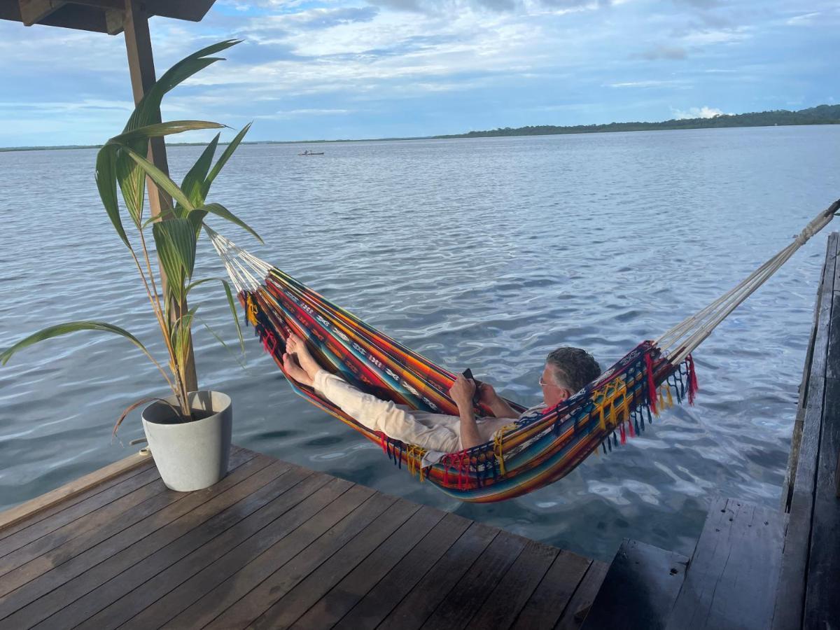 Dolphin Blue Paradise Bocas Town Luaran gambar