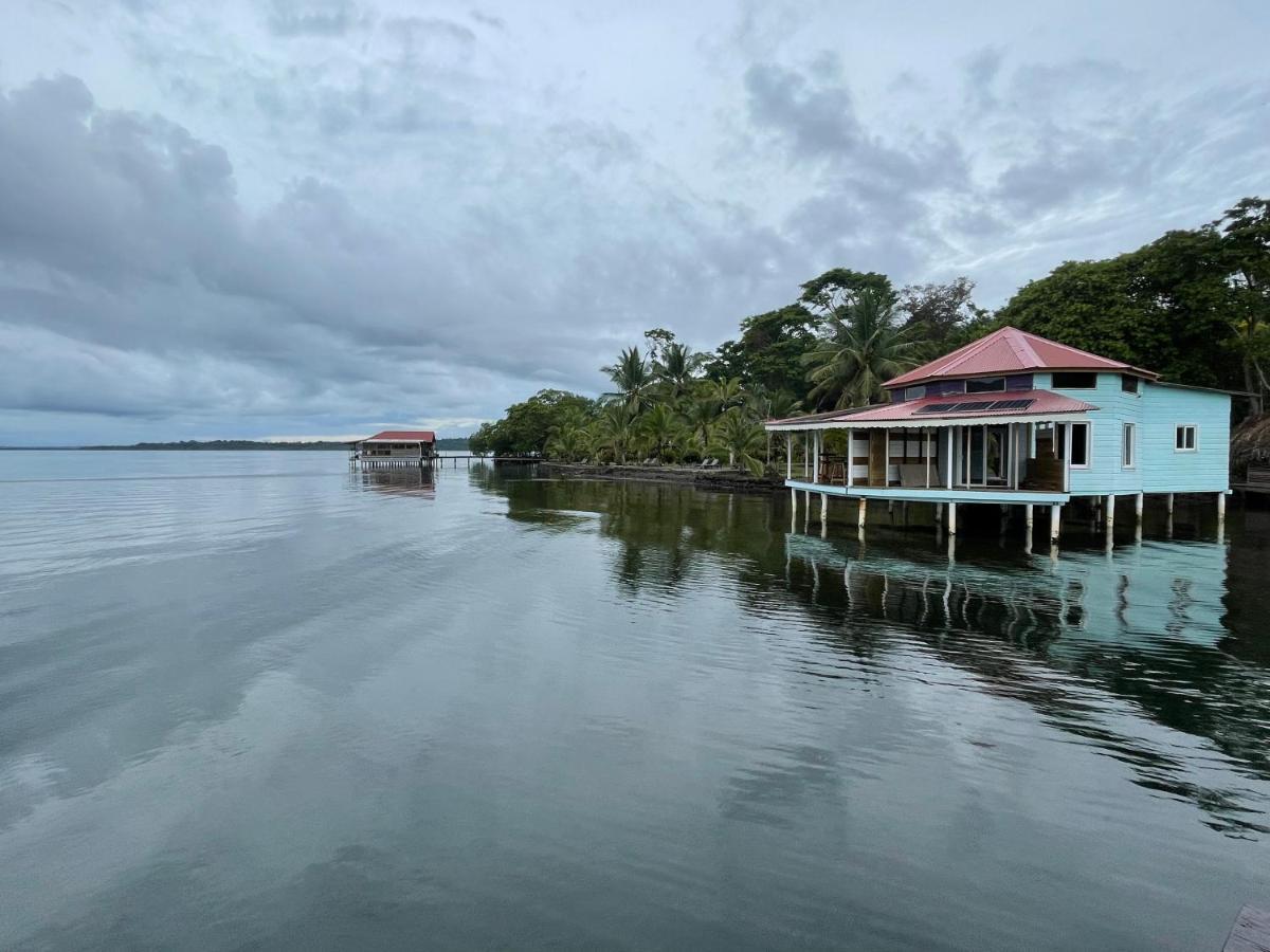 Dolphin Blue Paradise Bocas Town Luaran gambar