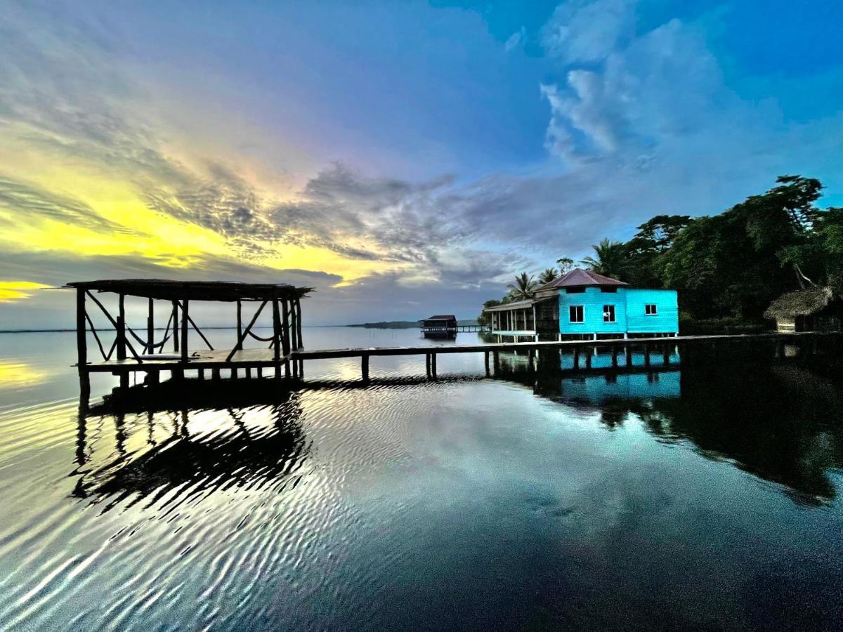 Dolphin Blue Paradise Bocas Town Luaran gambar