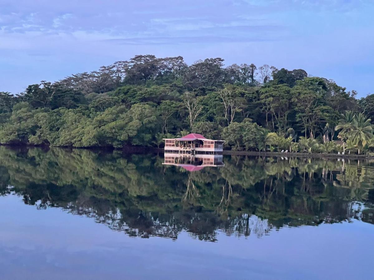 Dolphin Blue Paradise Bocas Town Luaran gambar