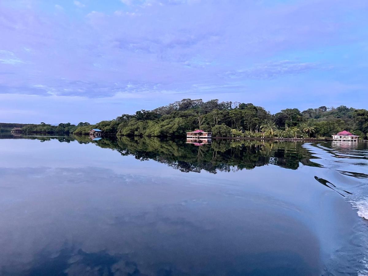 Dolphin Blue Paradise Bocas Town Luaran gambar