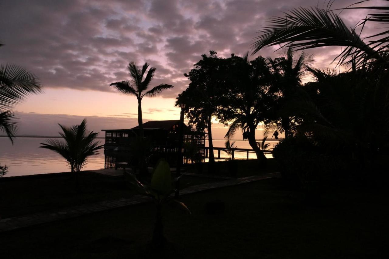 Dolphin Blue Paradise Bocas Town Luaran gambar