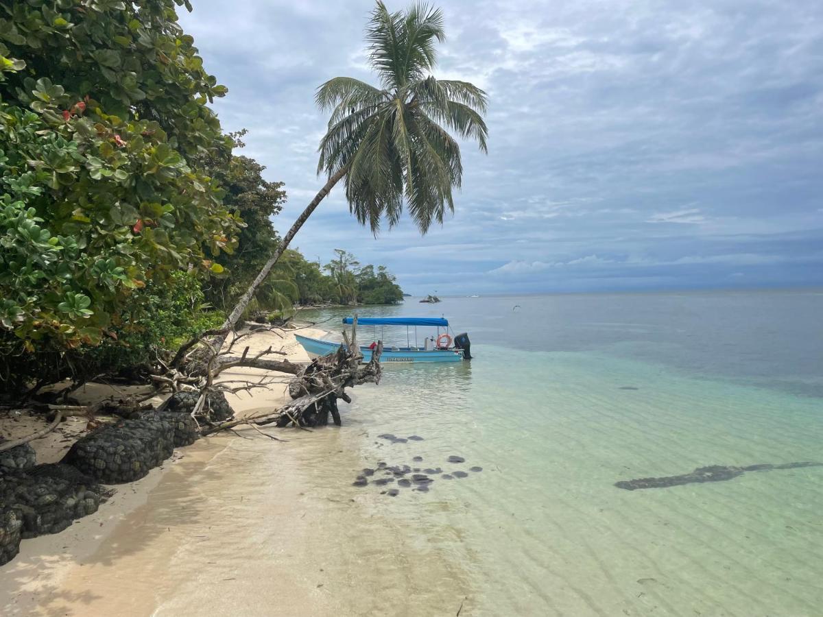 Dolphin Blue Paradise Bocas Town Luaran gambar