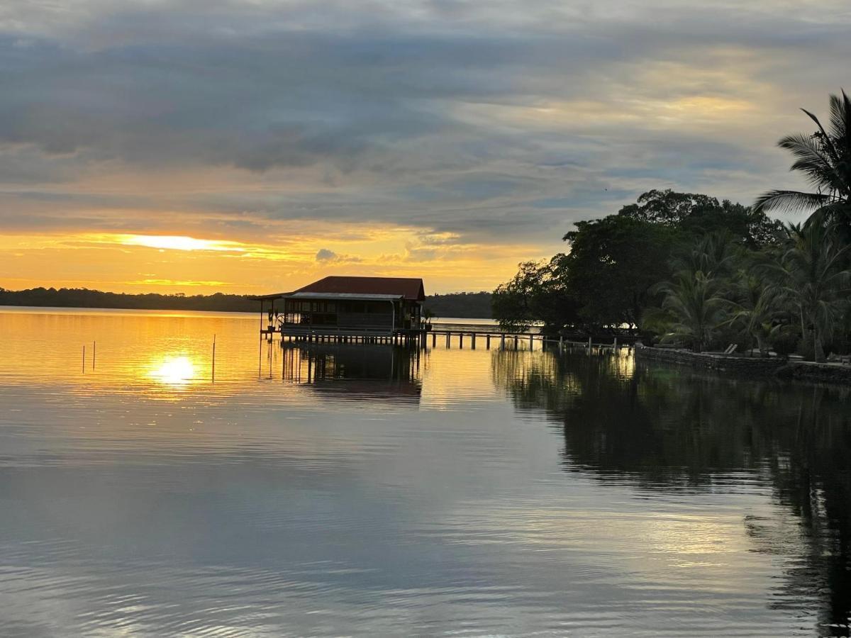 Dolphin Blue Paradise Bocas Town Luaran gambar