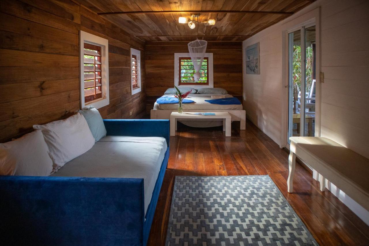 Dolphin Blue Paradise Bocas Town Luaran gambar