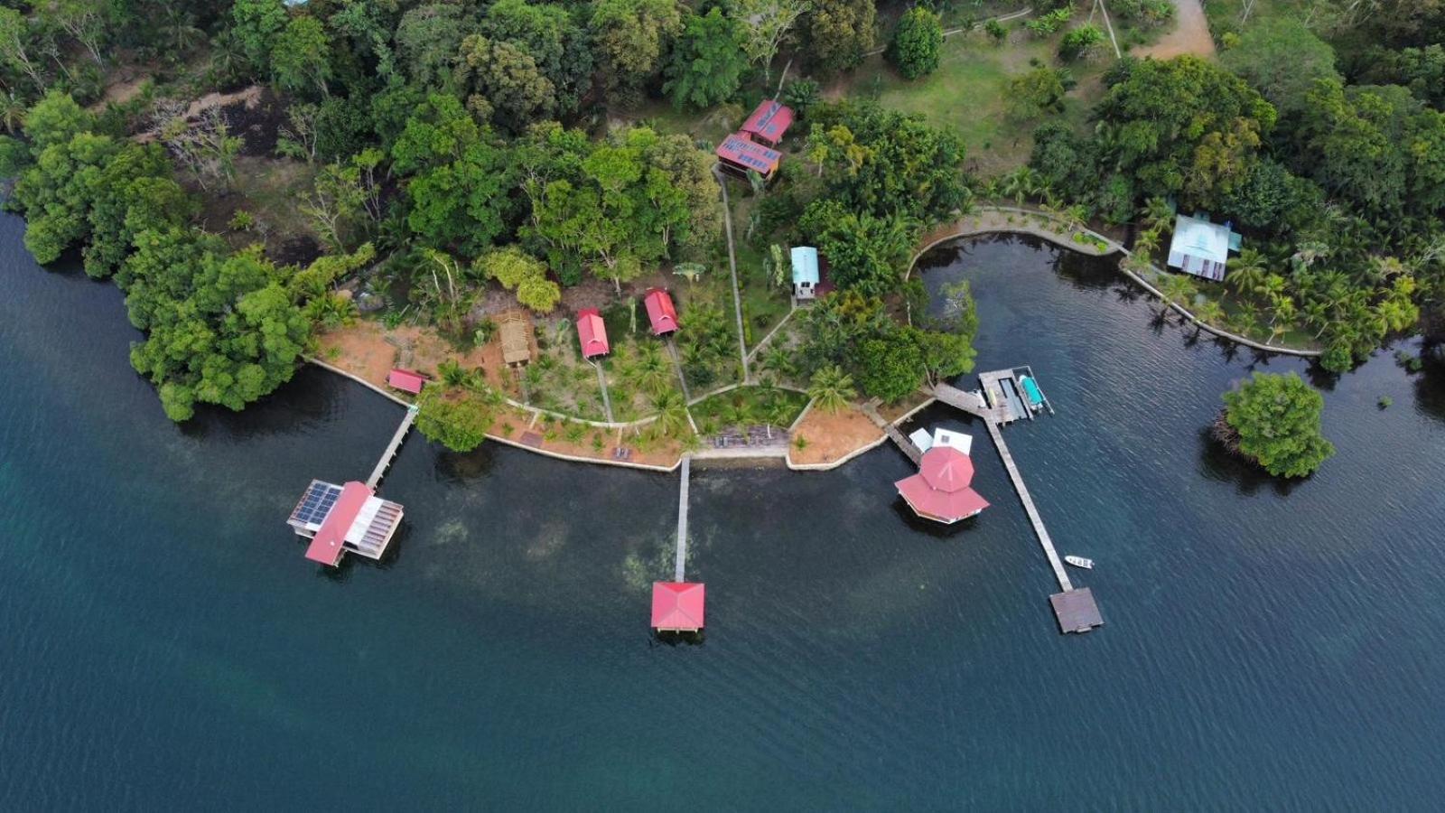 Dolphin Blue Paradise Bocas Town Luaran gambar