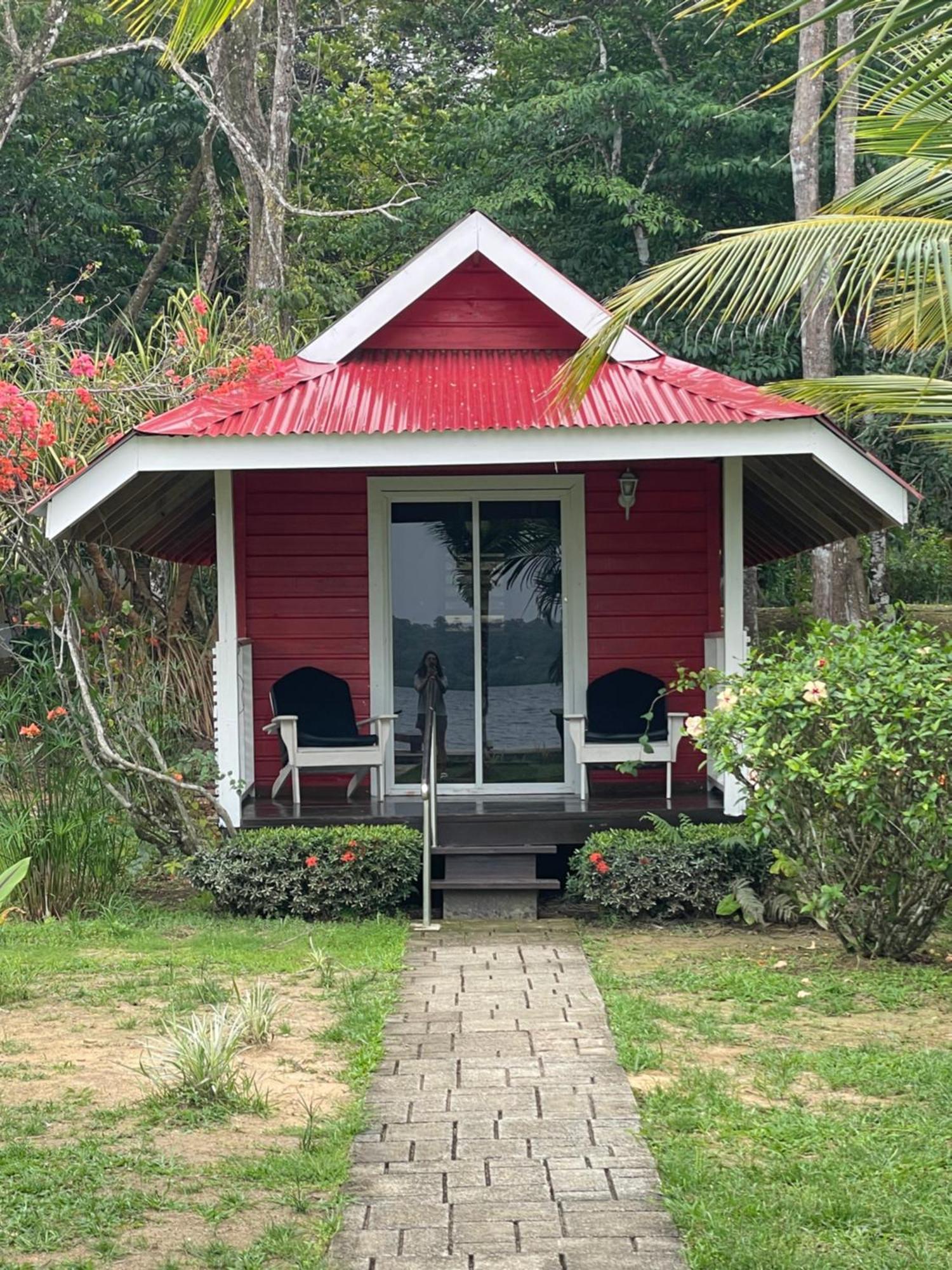 Dolphin Blue Paradise Bocas Town Luaran gambar