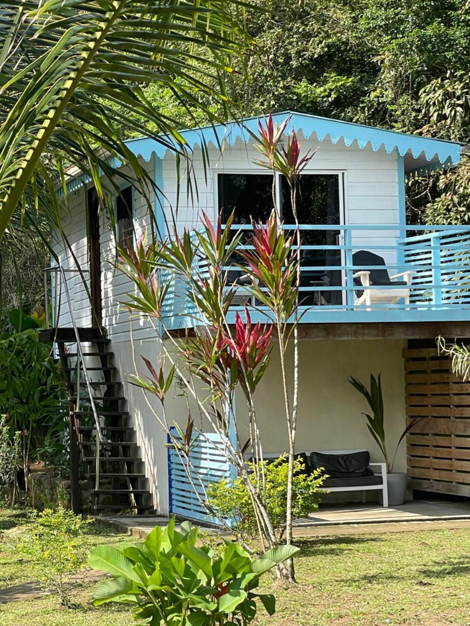 Dolphin Blue Paradise Bocas Town Luaran gambar