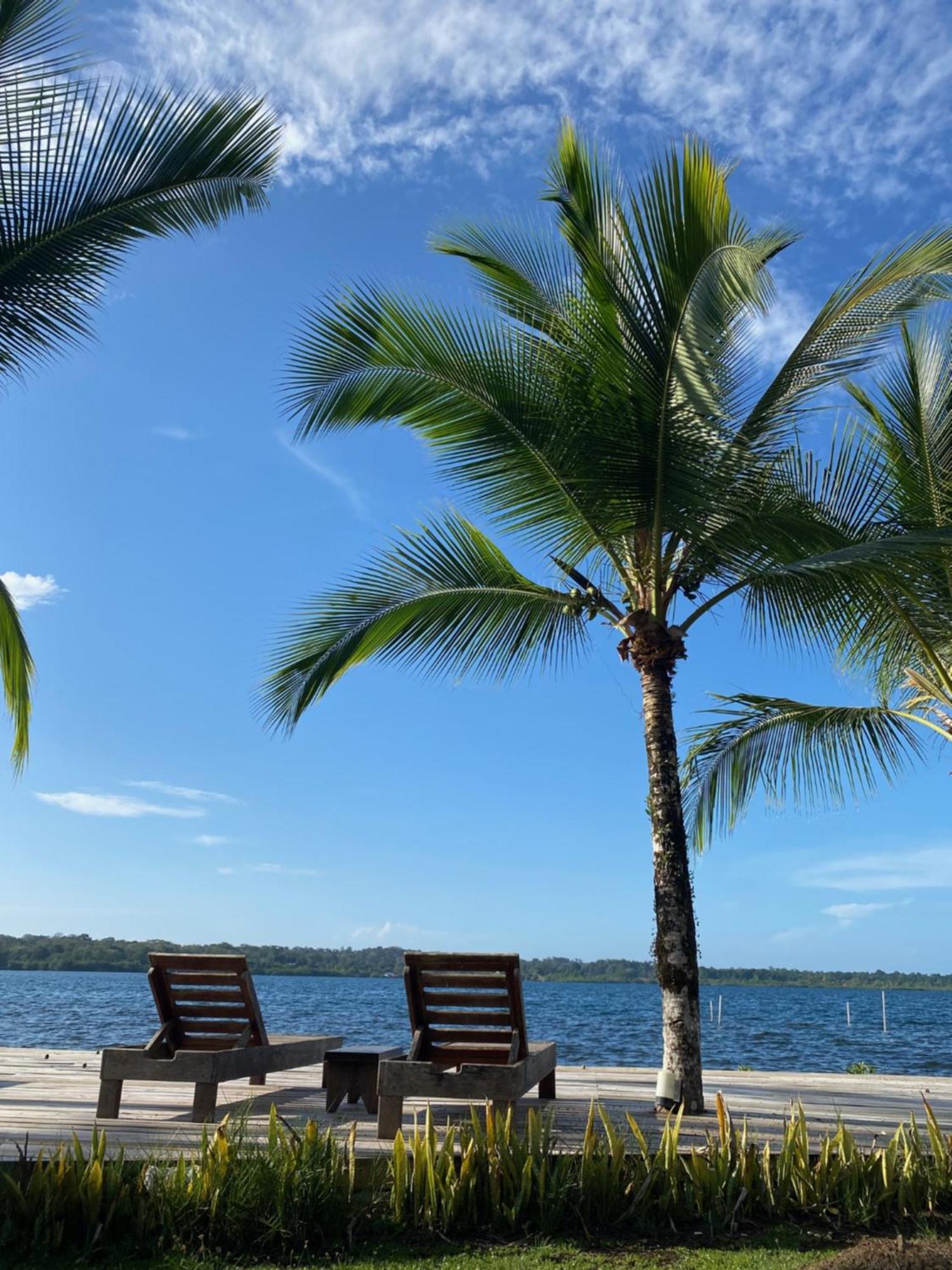 Dolphin Blue Paradise Bocas Town Luaran gambar