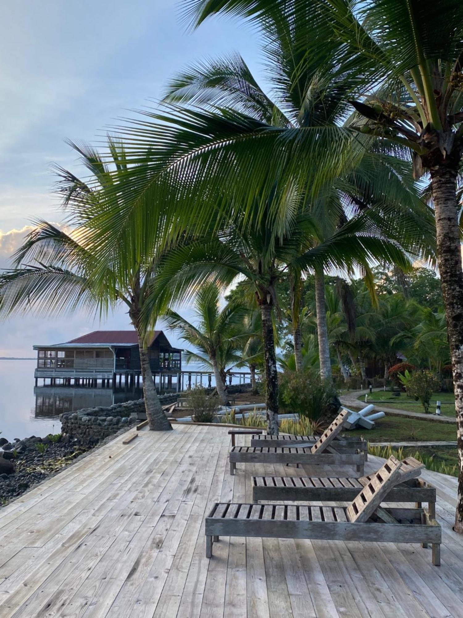 Dolphin Blue Paradise Bocas Town Luaran gambar