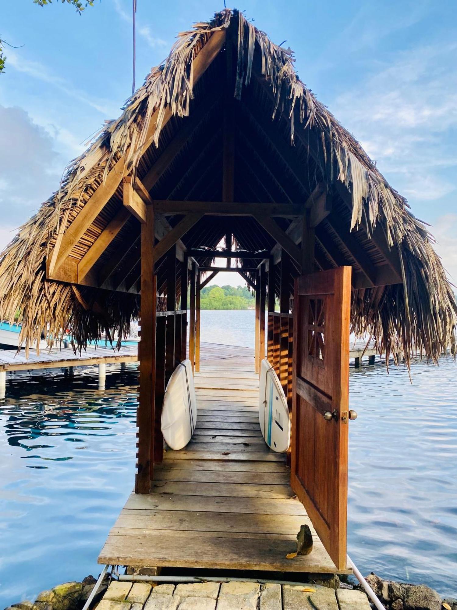 Dolphin Blue Paradise Bocas Town Luaran gambar