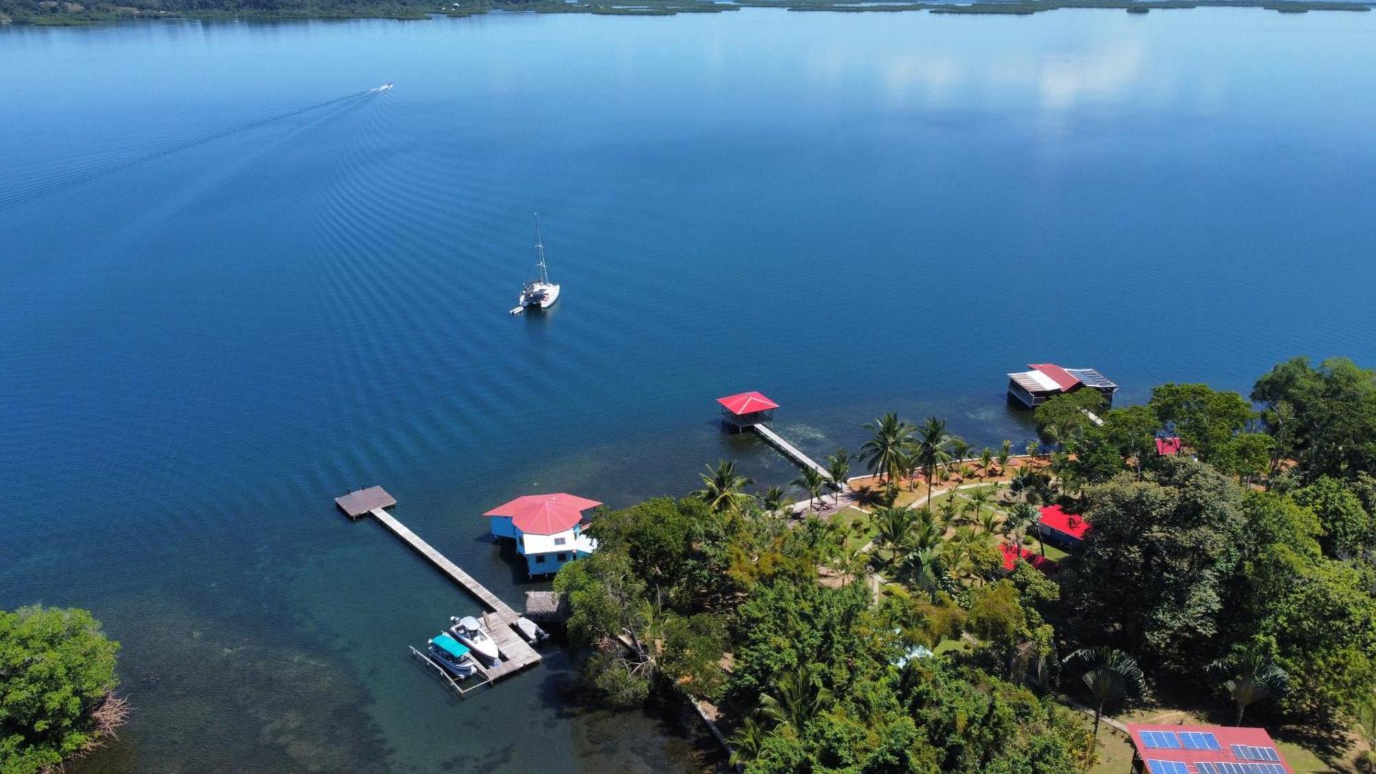 Dolphin Blue Paradise Bocas Town Luaran gambar