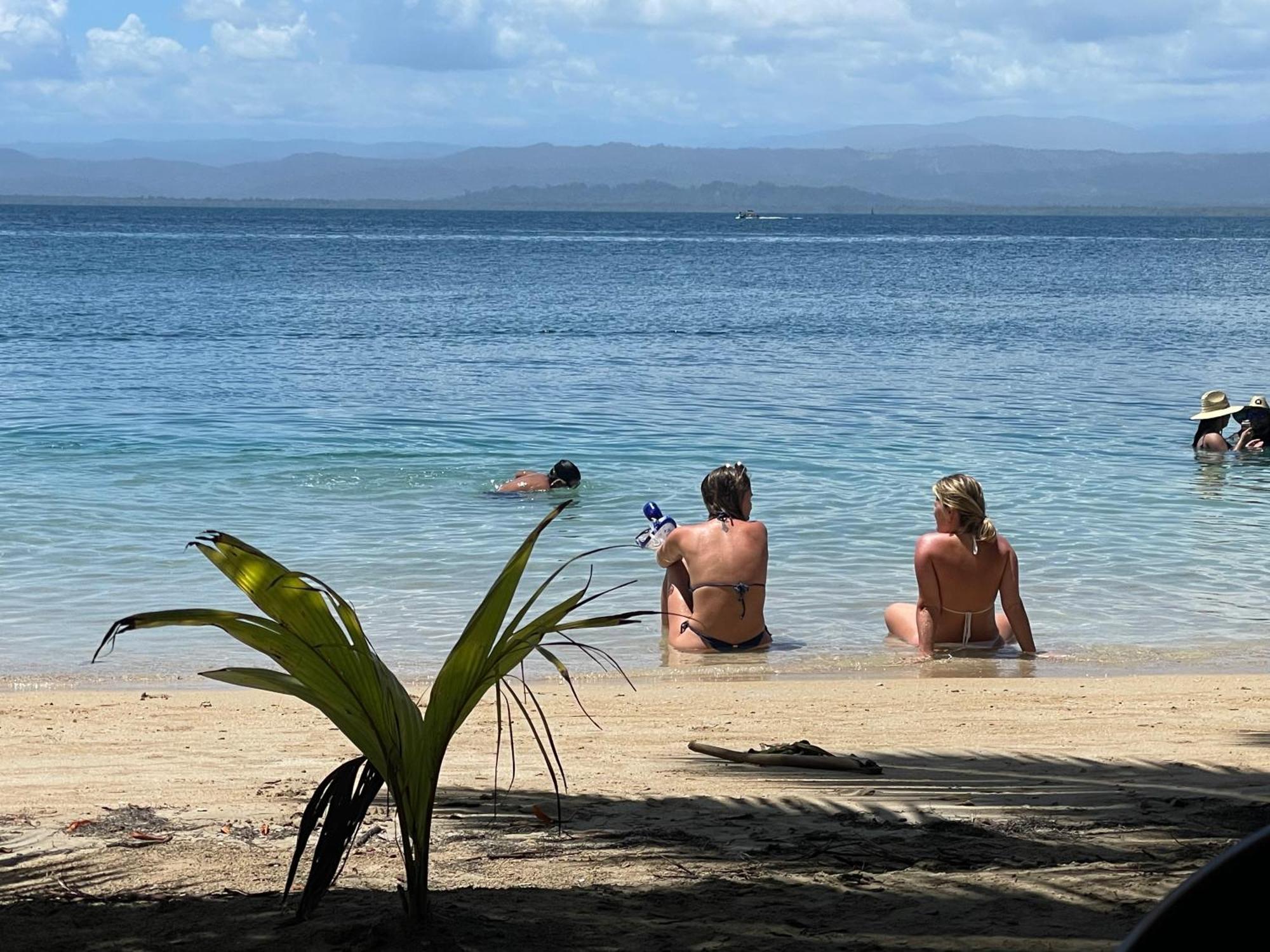 Dolphin Blue Paradise Bocas Town Luaran gambar