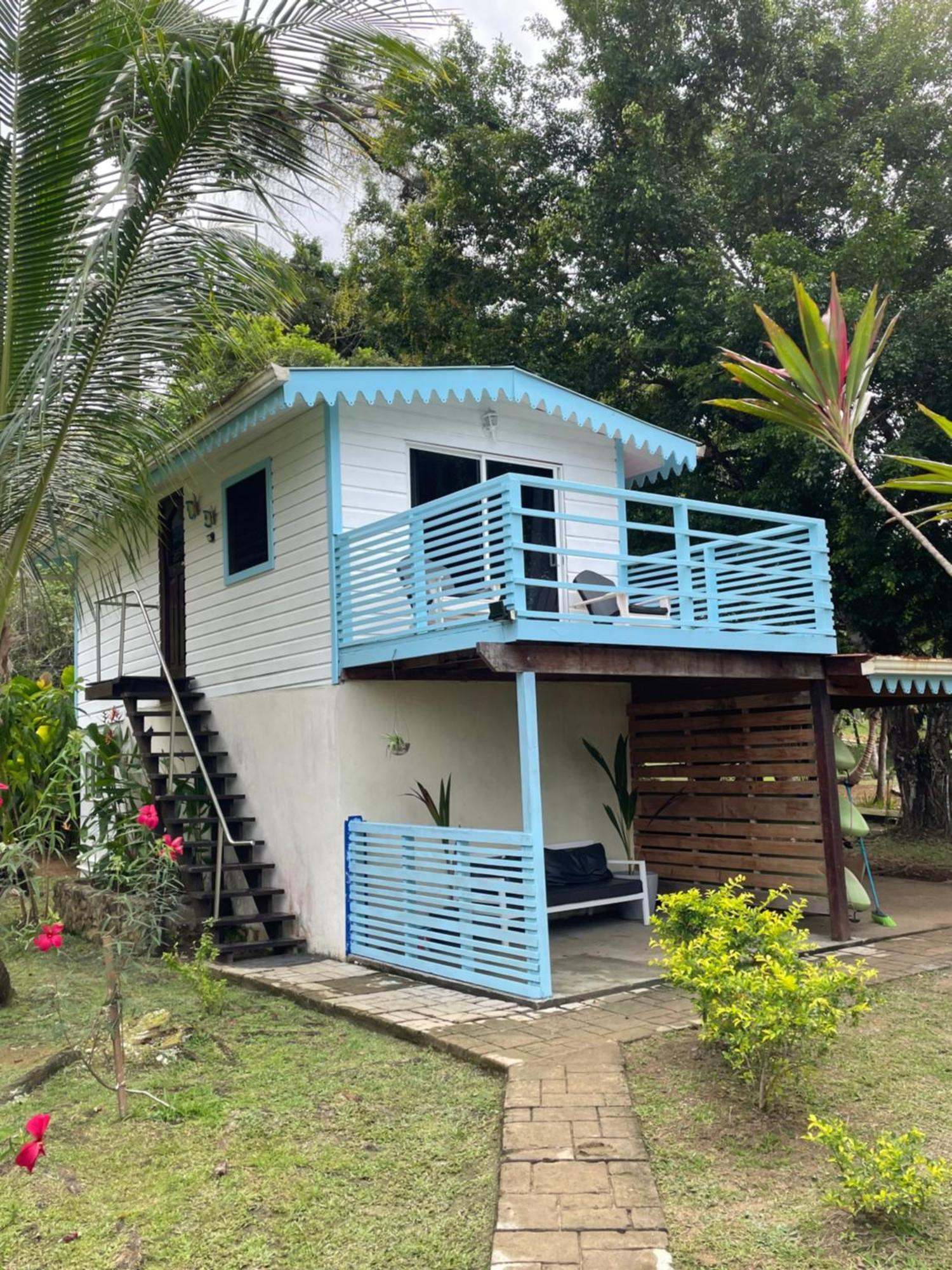 Dolphin Blue Paradise Bocas Town Luaran gambar