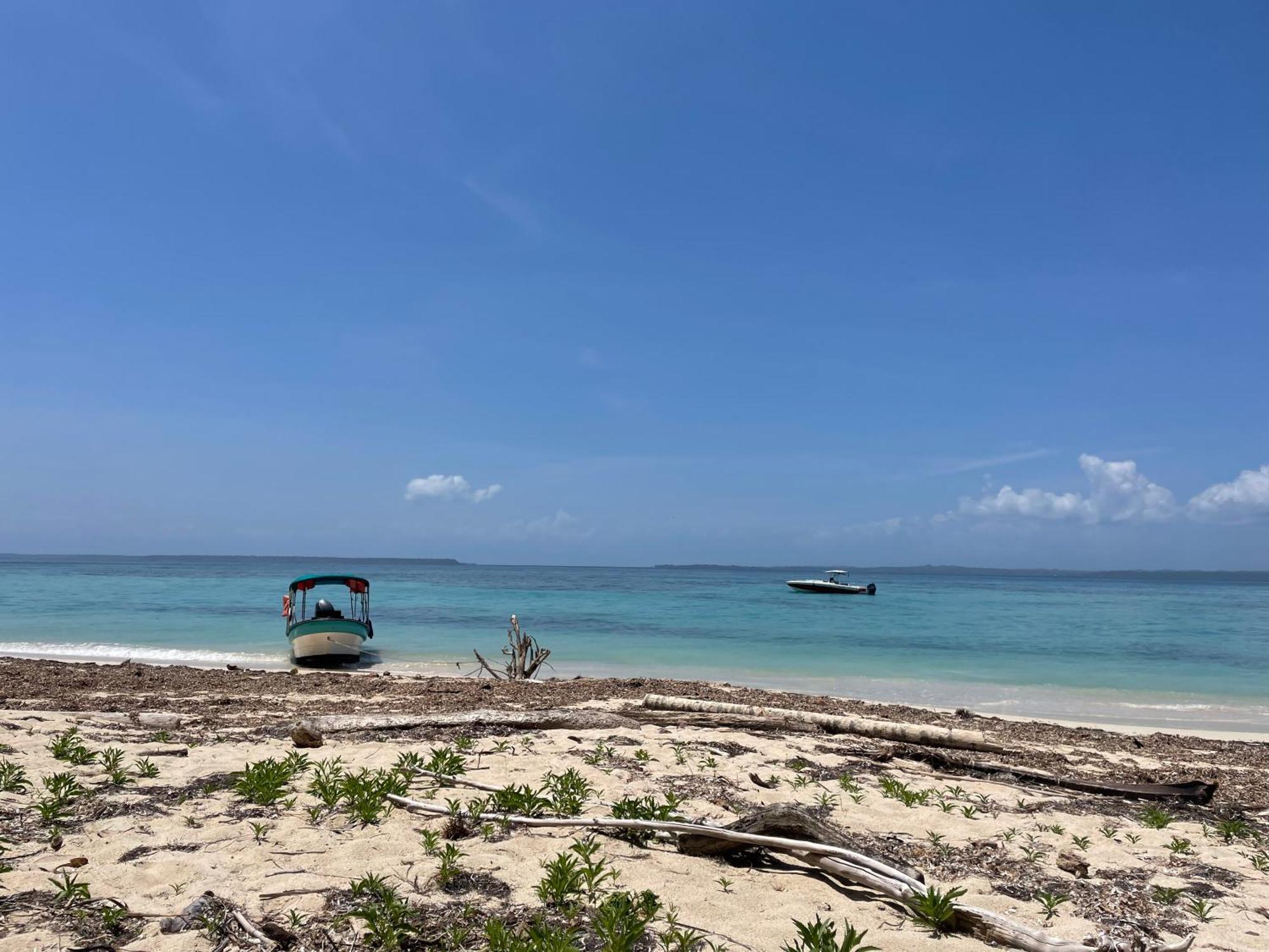 Dolphin Blue Paradise Bocas Town Luaran gambar