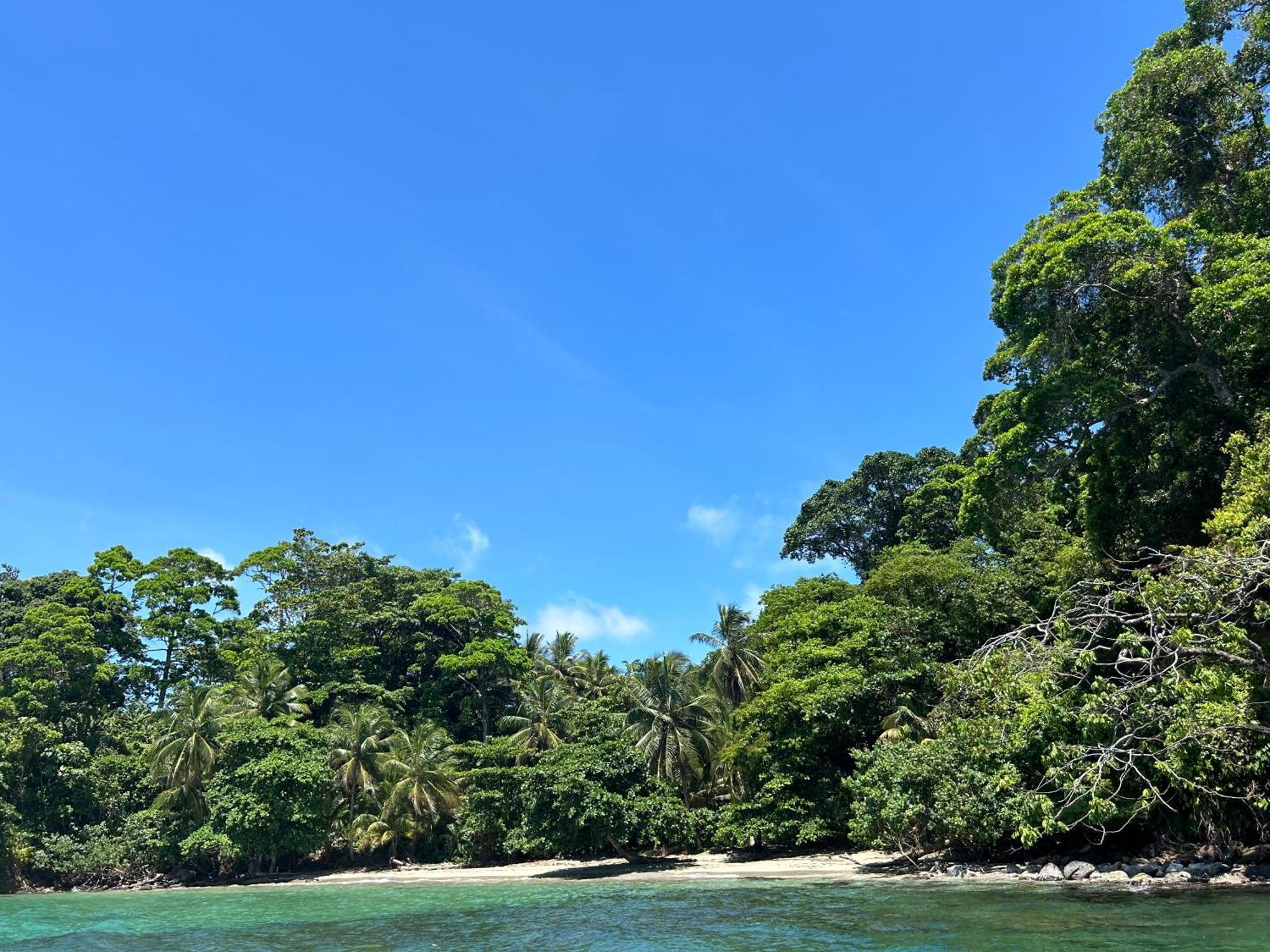 Dolphin Blue Paradise Bocas Town Luaran gambar