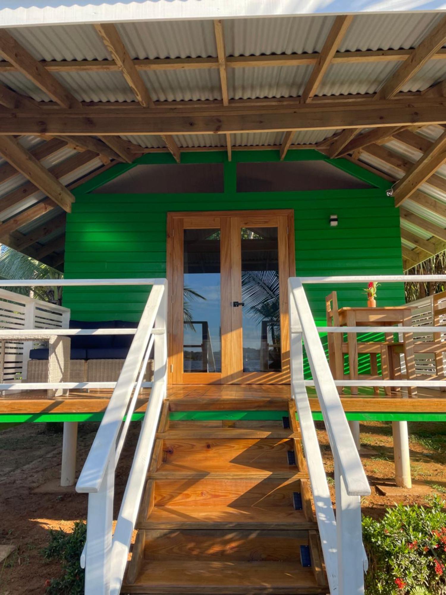 Dolphin Blue Paradise Bocas Town Luaran gambar