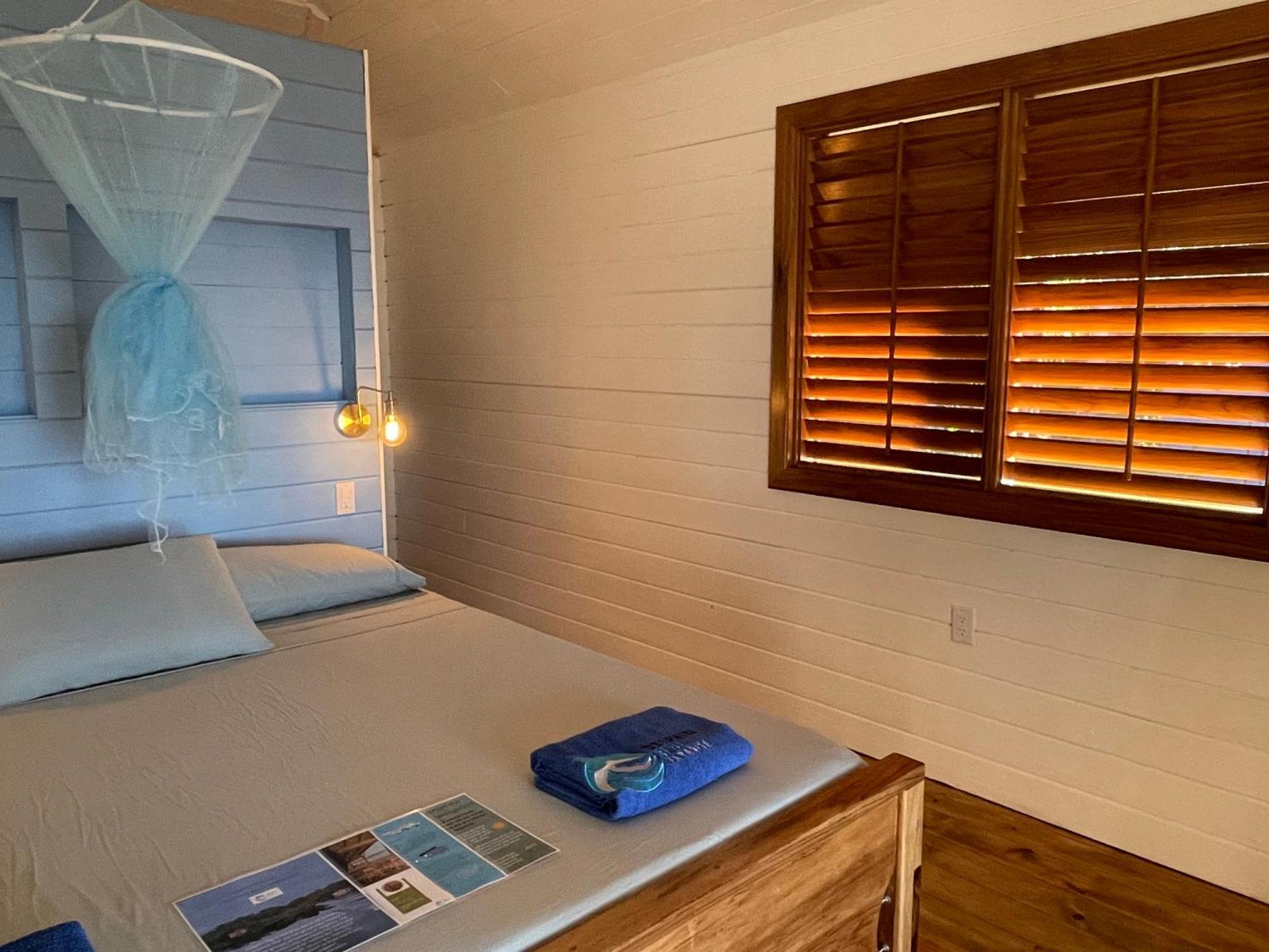 Dolphin Blue Paradise Bocas Town Luaran gambar